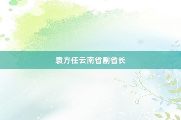 袁方任云南省副省长