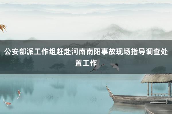 公安部派工作组赶赴河南南阳事故现场指导调查处置工作