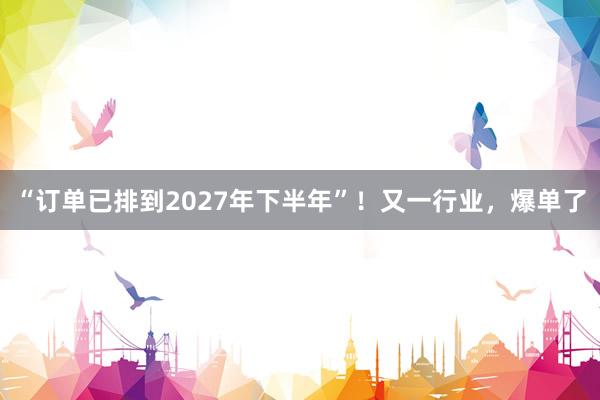 “订单已排到2027年下半年”！又一行业，爆单了