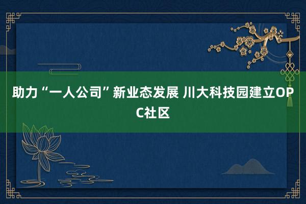 助力“一人公司”新业态发展 川大科技园建立OPC社区