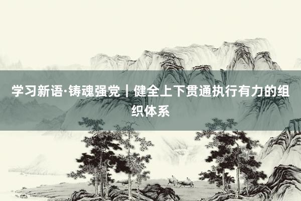 学习新语·铸魂强党｜健全上下贯通执行有力的组织体系
