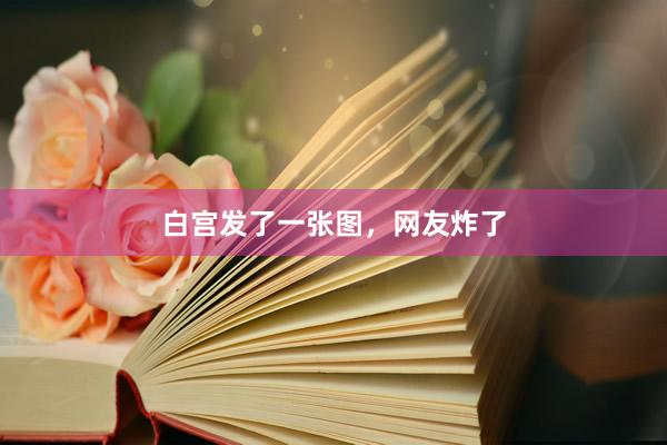 白宫发了一张图，网友炸了
