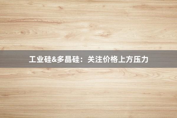 工业硅&多晶硅：关注价格上方压力