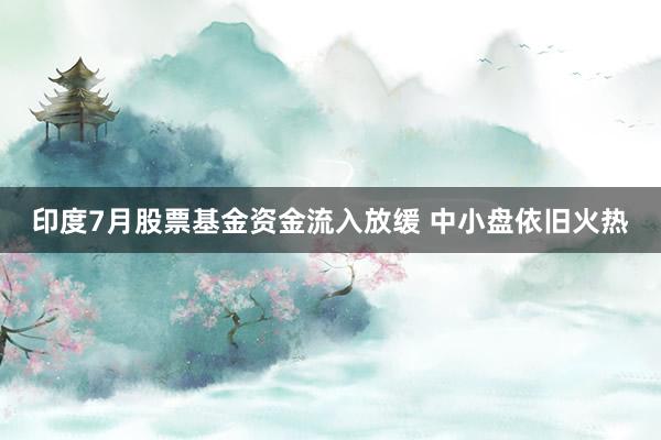 印度7月股票基金资金流入放缓 中小盘依旧火热