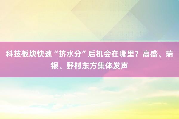 科技板块快速“挤水分”后机会在哪里？高盛、瑞银、野村东方集体发声