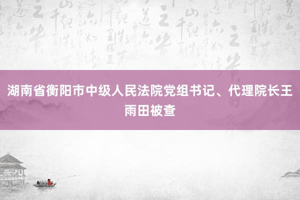 湖南省衡阳市中级人民法院党组书记、代理院长王雨田被查