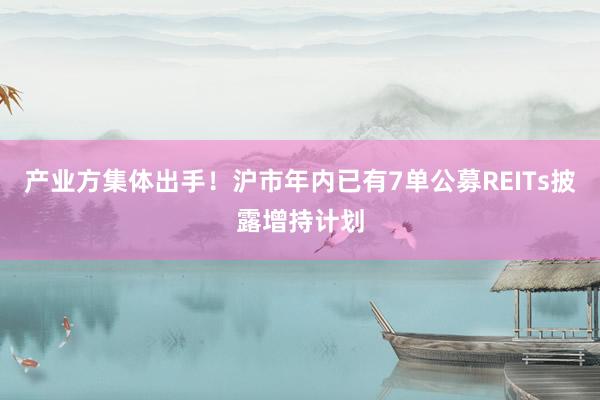 产业方集体出手！沪市年内已有7单公募REITs披露增持计划