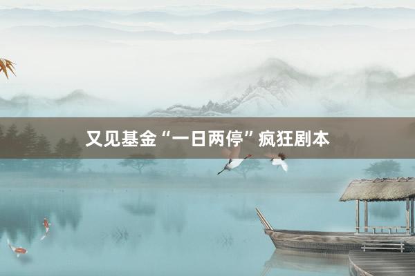 又见基金“一日两停”疯狂剧本