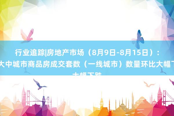 行业追踪|房地产市场（8月9日-8月15日）：30大中城市商品房成交套数（一线城市）数量环比大幅下跌