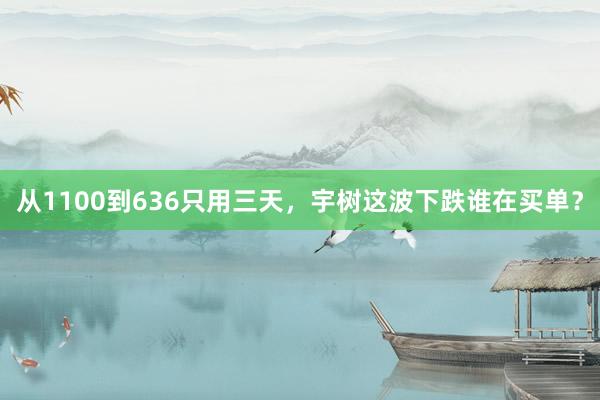 从1100到636只用三天，宇树这波下跌谁在买单？