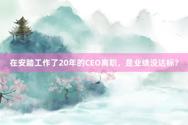 在安踏工作了20年的CEO离职，是业绩没达标？