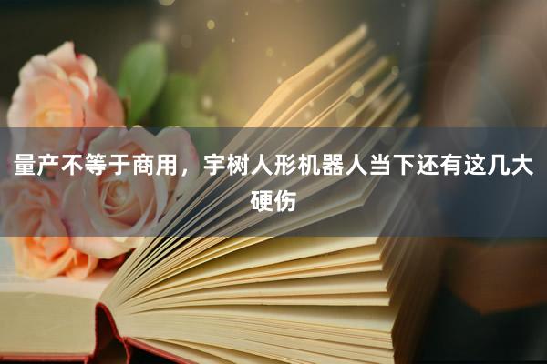 量产不等于商用，宇树人形机器人当下还有这几大硬伤