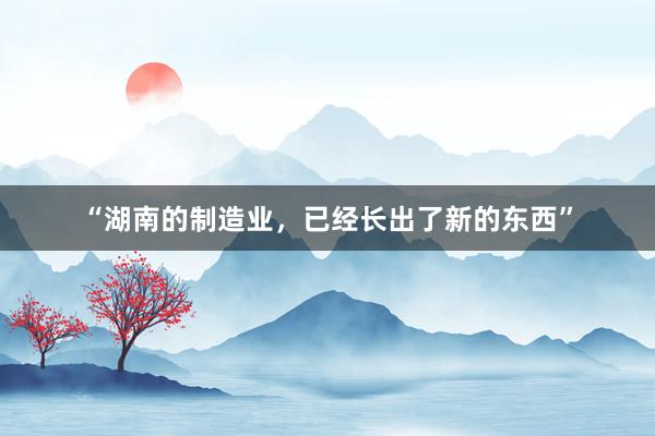“湖南的制造业，已经长出了新的东西”