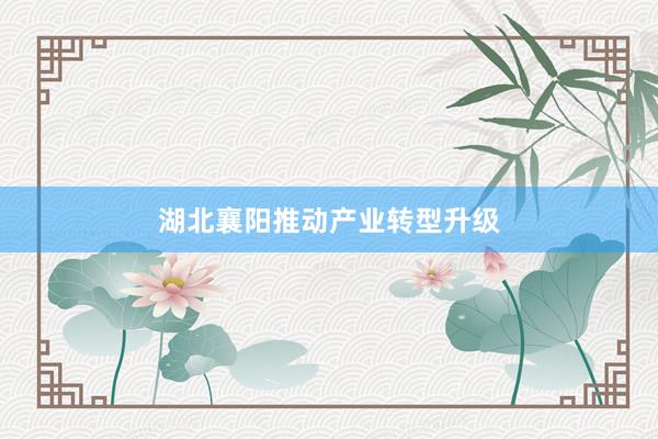 湖北襄阳推动产业转型升级