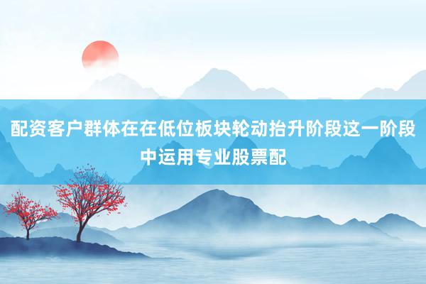 配资客户群体在在低位板块轮动抬升阶段这一阶段中运用专业股票配