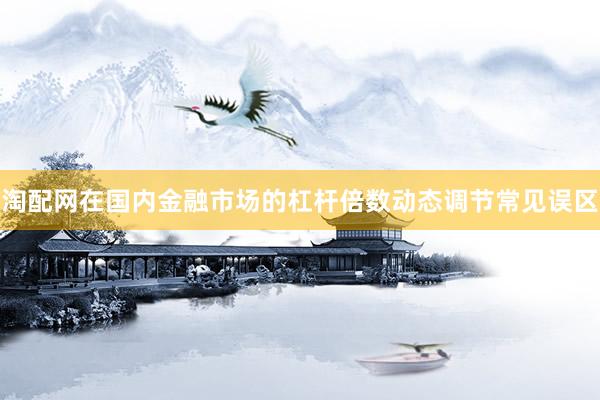 淘配网在国内金融市场的杠杆倍数动态调节常见误区