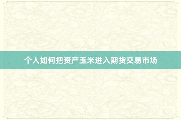 个人如何把资产玉米进入期货交易市场