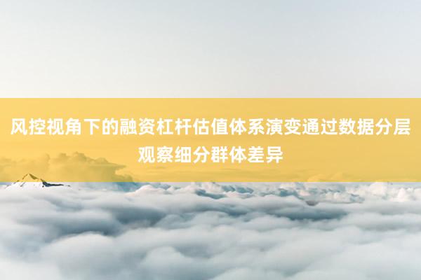 风控视角下的融资杠杆估值体系演变通过数据分层观察细分群体差异