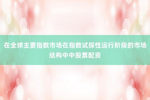 在全球主要指数市场在指数试探性运行阶段的市场结构中中股票配资