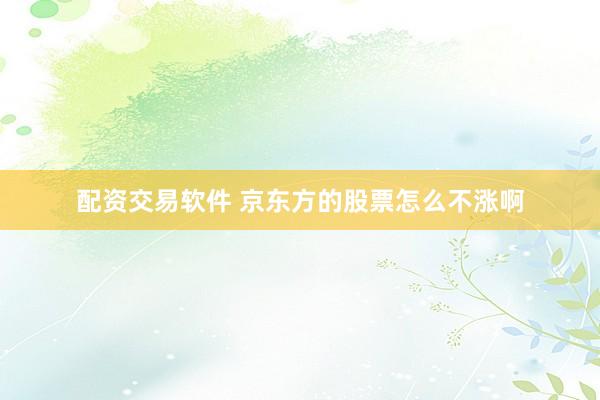 配资交易软件 京东方的股票怎么不涨啊