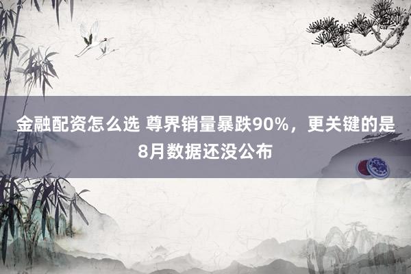 金融配资怎么选 尊界销量暴跌90%，更关键的是8月数据还没公布