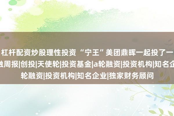 杠杆配资炒股理性投资 “宁王”美团鼎晖一起投了一家芯片公司丨投融周报|创投|天使轮|投资基金|a轮融资|投资机构|知名企业|独家财务顾问