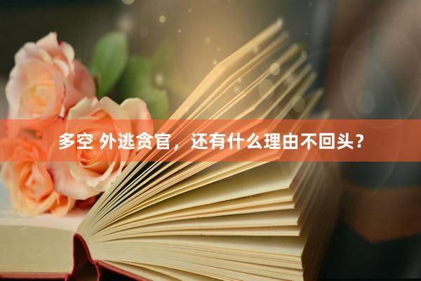 多空 外逃贪官，还有什么理由不回头？