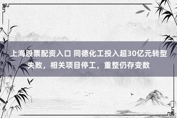 上海股票配资入口 同德化工投入超30亿元转型失败，相关项目停工，重整仍存变数