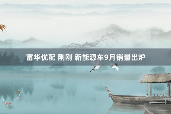 富华优配 刚刚 新能源车9月销量出炉