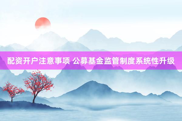 配资开户注意事项 公募基金监管制度系统性升级