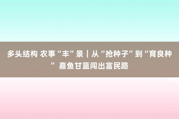 多头结构 农事“丰”景｜从“抢种子”到“育良种” 嘉鱼甘蓝闯出富民路
