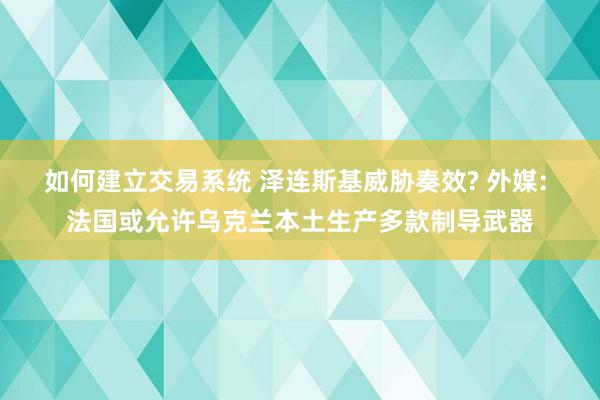 如何建立交易系统 泽连斯基威胁奏效? 外媒: 法国或允许乌克兰本土生产多款制导武器