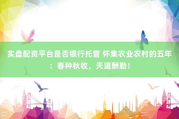 实盘配资平台是否银行托管 怀集农业农村的五年：春种秋收，天道酬勤！