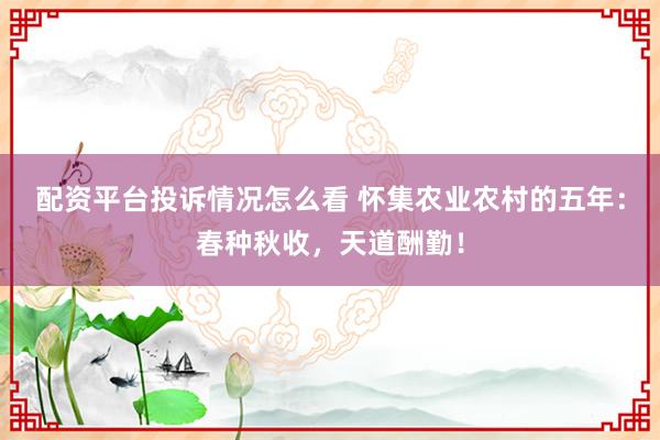 配资平台投诉情况怎么看 怀集农业农村的五年：春种秋收，天道酬勤！